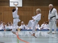 IMG_3786_bearbeitet-1.jpg
