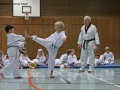 IMG_3790_bearbeitet-1.jpg