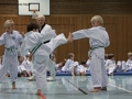 IMG_3794_bearbeitet-1.jpg