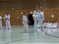 IMG_3798_bearbeitet-1.jpg