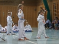 IMG_3848_bearbeitet-1.jpg