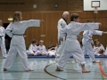 IMG_3849_bearbeitet-1.jpg