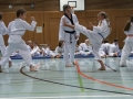 IMG_3854_bearbeitet-1.jpg
