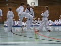 IMG_3855_bearbeitet-1.jpg