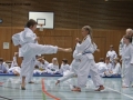 IMG_3859_bearbeitet-1.jpg
