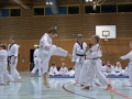 IMG_3867_bearbeitet-1.jpg
