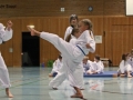 IMG_3870_bearbeitet-2.jpg