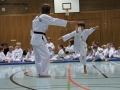 IMG_3892_bearbeitet-1.jpg