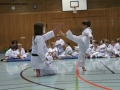 IMG_3902_bearbeitet-1.jpg
