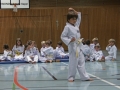 IMG_3911_bearbeitet-1.jpg