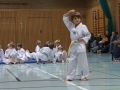 IMG_3913_bearbeitet-1.jpg