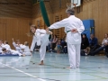 IMG_3945_bearbeitet-1.jpg