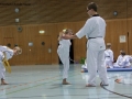 IMG_3952_bearbeitet-1.jpg