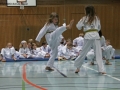 IMG_3987_bearbeitet-1.jpg