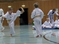 IMG_3989_bearbeitet-1.jpg