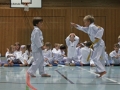 IMG_4007_bearbeitet-1.jpg