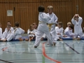 IMG_4008_bearbeitet-1.jpg