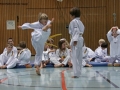 IMG_4009_bearbeitet-1.jpg