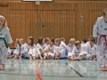 IMG_4018_bearbeitet-2.jpg