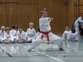 IMG_4021_bearbeitet-1.jpg