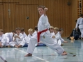 IMG_4039_bearbeitet-1.jpg