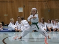 IMG_4040_bearbeitet-1.jpg