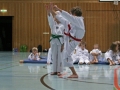 IMG_4071_bearbeitet-1.jpg