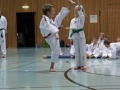 IMG_4072_bearbeitet-1.jpg