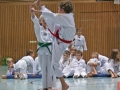 IMG_4073_bearbeitet-2.jpg
