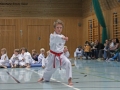 IMG_4091_bearbeitet-1.jpg