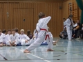 IMG_4103_bearbeitet-1.jpg