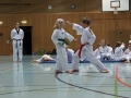 IMG_4109_bearbeitet-1.jpg