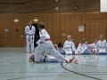 IMG_4112_bearbeitet-1.jpg