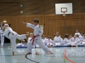 IMG_4113_bearbeitet-1.jpg