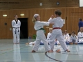 IMG_4114_bearbeitet-1.jpg