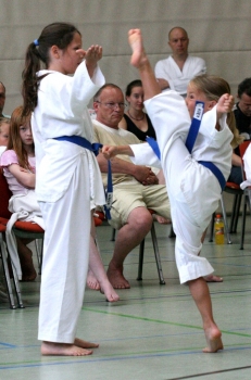 IMG_8011b