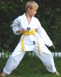 image008