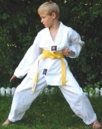 image009